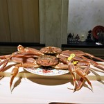 紀茂登 - 越前蟹