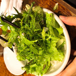 ワラガモ 笑ウ鴨ニハ福来ル - 