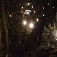 魚庵 千畳敷 - 手すりはありますが、大きな石段を下りていきます