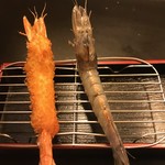 angel shrimp
