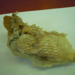 天ぷら 京星 - グジの皮