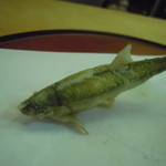 天ぷら 京星 - モロコ