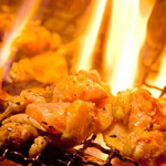 九州料理×もつ鍋 九州小町  錦本店