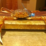 麻布 幸村 - 津居山港（ついやまこう）で水揚げされた松葉ガニ