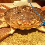 麻布 幸村 - 津居山港（ついやまこう）で水揚げされた松葉ガニ