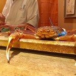 麻布 幸村 - 津居山港（ついやまこう）で水揚げされた松葉ガニ