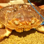 麻布 幸村 - 津居山港（ついやまこう）で水揚げされた松葉ガニ