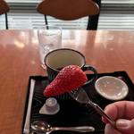 八百屋カフェ わがきん - 