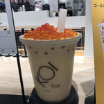 KOI The - 