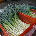 正好鮮肉小籠湯包 - 