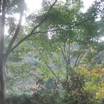 旅邸 諧暢楼 - 庭の紅葉。紅葉はまだですね。