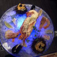 MAIMON GINZA - 