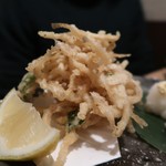 居酒屋 肴とり - 