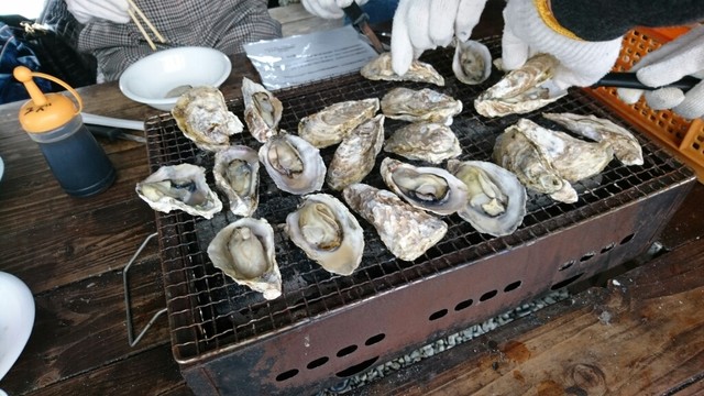 焼がき 大豊 相生市その他 炭火焼き 食べログ