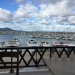 Nautilus - だってどう見ても観光客相手のリゾートチックな店じゃないですか 先入観は捨てよう