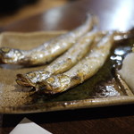 居酒屋 ぼろ屋台 - 