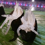 千石寿司 - 白魚軍艦