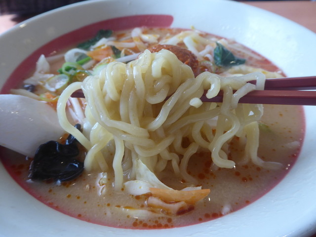 幸楽苑 南沢又店 - 笹木野（ラーメン）の写真