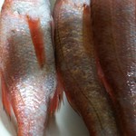 若狭小浜お魚センター - 