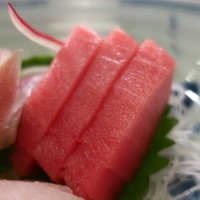 割烹 蒲焼 大沼 - 中トロ