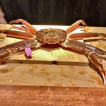 東山 吉寿 - 柴山の1キロアップの松葉蟹2