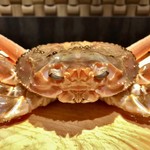 東山 吉寿 - 柴山の1キロアップの松葉蟹3