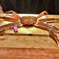 東山 吉寿 - 柴山の1キロアップの松葉蟹2