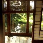 部屋から見える、大ケヤキと庭