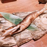 七代目 寅 - かます