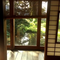 欅苑 - 部屋から見える、大ケヤキと庭