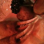 ニューミュンヘン ハーフェンブルク - 