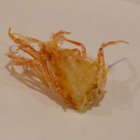 天白 - 
