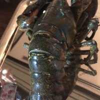 ウルフギャング・ステーキハウス 六本木 - 