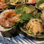 活貝 日本酒 おばんざい 福島おちび - あわび、赤貝アップ