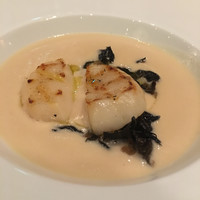 LAZOR GARDEN DINING - 