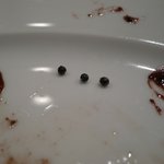 Recette - メイン(ペルドローグリ)07　当た～り! 3つも出ました散弾