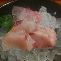 銀平 北新地店 - 