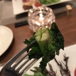 ラディーチェ - 