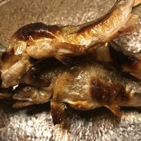 赤坂 菊乃井 - 