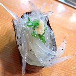 三扇 - ｼﾗｳｵ(網走)