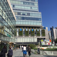 青山 星のなる木 - 
