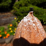 アテスウェイ - 朝陽に浮かぶ剣が峰かのような（2011年9月24日）