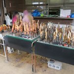 マルサお魚センター - 魚好きには堪らない光景です