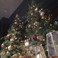 THE KAWABUN NAGOYA - 店舗玄関内　ツリー