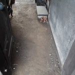 プチバカンス - 古民家