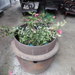 プチバカンス - 古民家