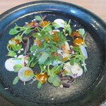 カステリーナ - ノルウェーサーモンのタルタル　マスカルポーネとトマトのソース