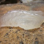 日本橋橘町　都寿司 - 