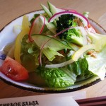 テラス　サルサ - ★サラダ