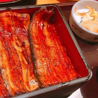 赤坂ふきぬき - 